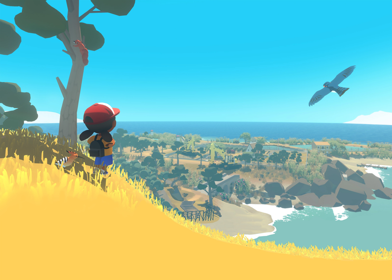 A Wildlife Adventure