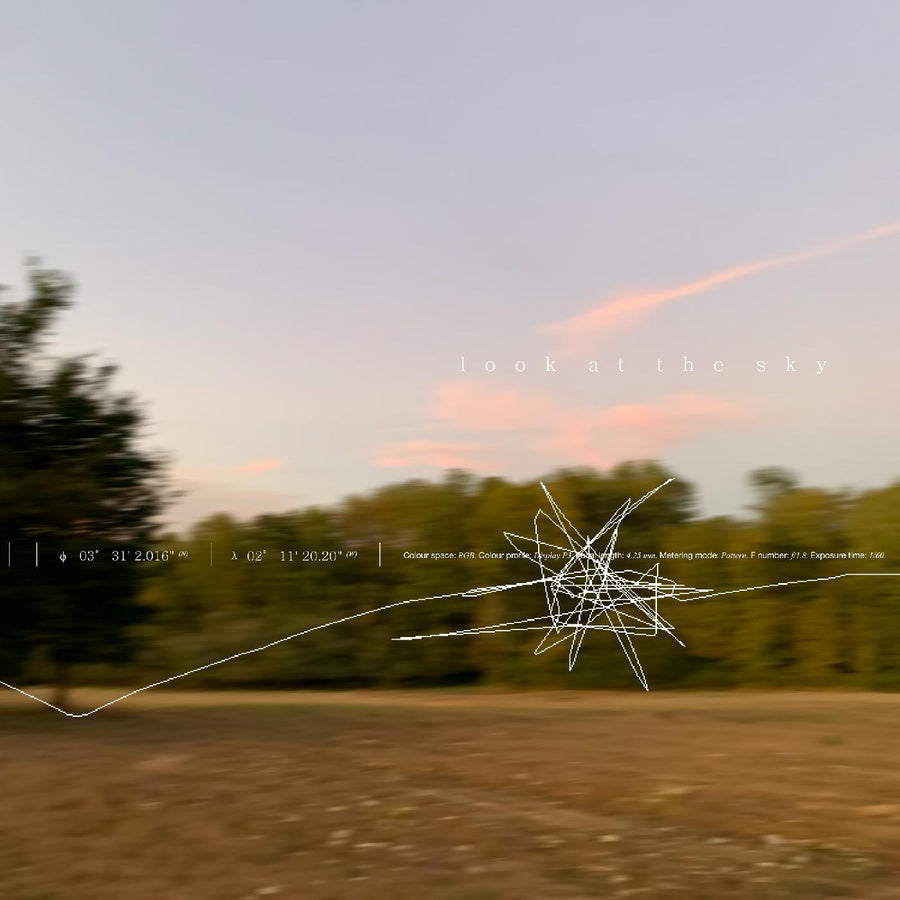 Look at the Sky 7" (Indie Exclusive Cover Art)
