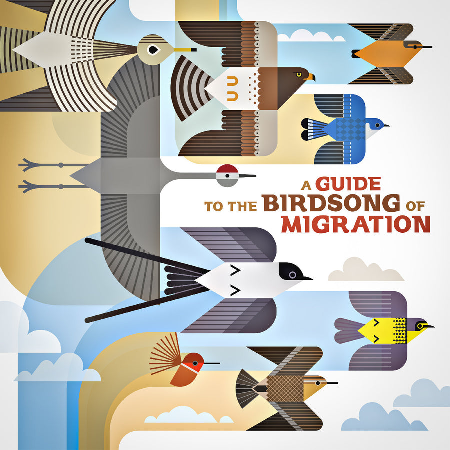 A Guide to the Birdsong of Migration (180g Vinyl)