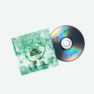 Danger In Fives CD