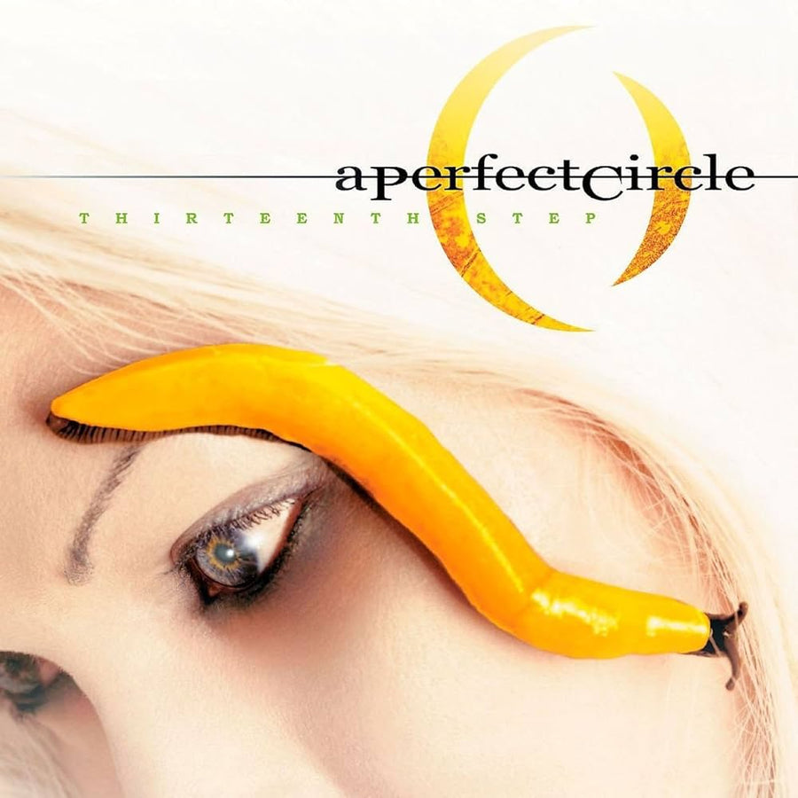 Thirteenth Step 2xLP