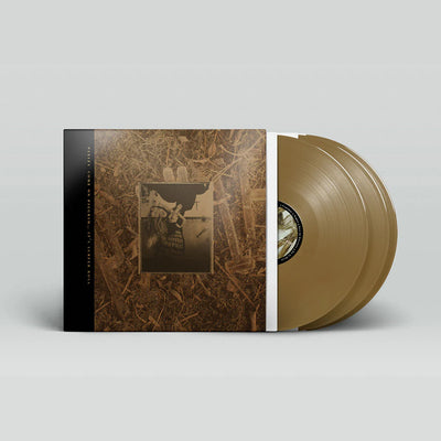 Come On Pilgrim... It's Surfer Rosa (30th Anniversary 3LP Gold Vinyl)