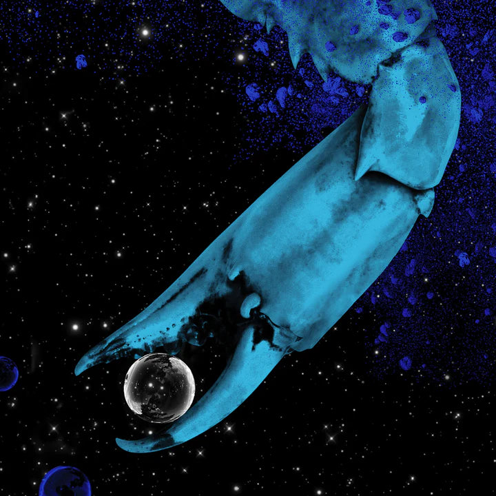 Archbishop Harold Holmes 7"