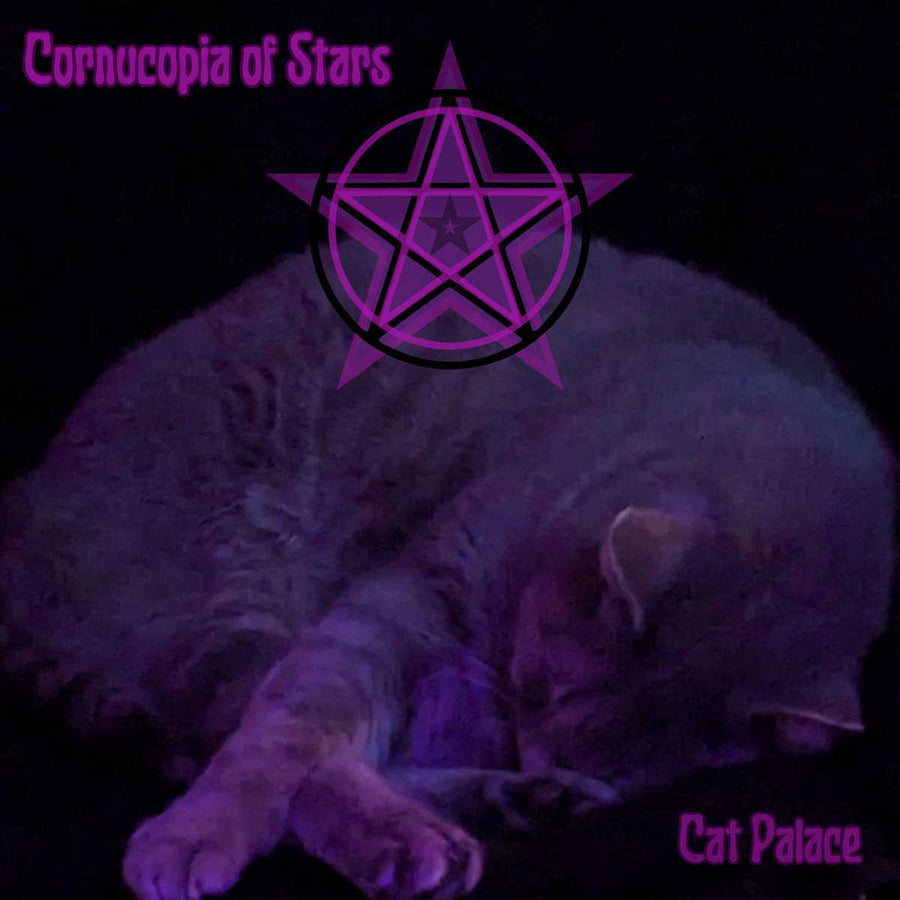 Cat Palace (Cassette)