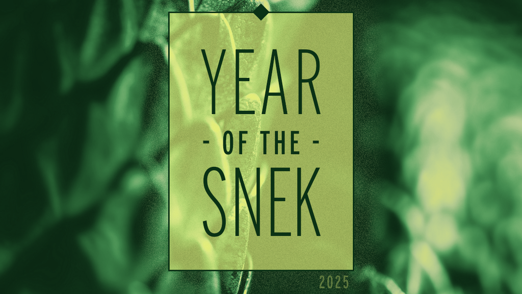 Sssubmit Your Best Snake Tees for Our Year of the Snek Rally! | The Yetee
