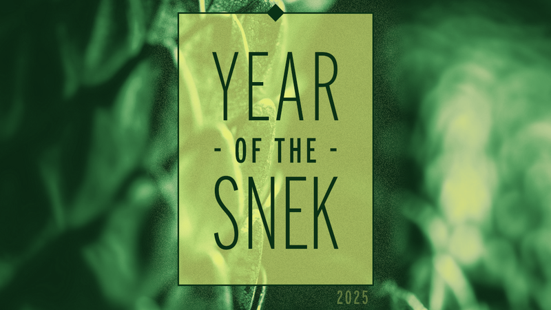 Sssubmit Your Best Snake Tees for Our Year of the Snek Rally!