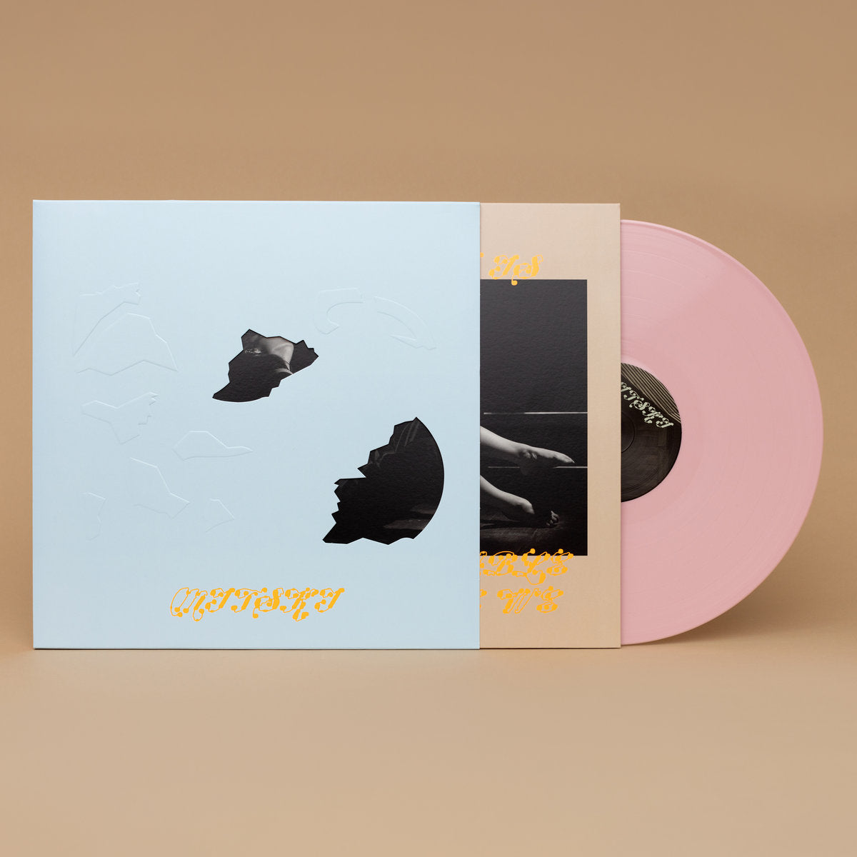 The Land Is Inhospitable and So Are We (Pink Aster Vinyl) | The Yetee