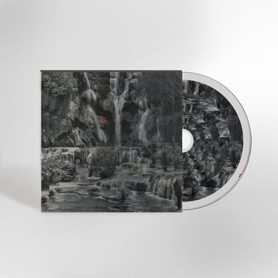 Punching The Clown (CD)