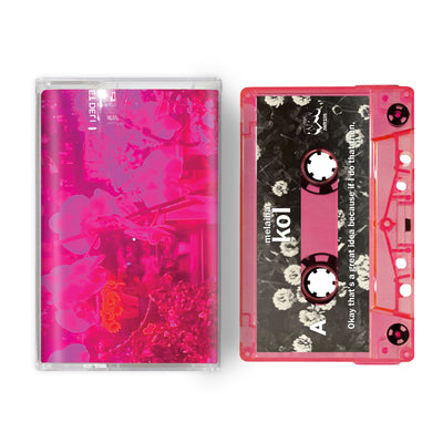 Okay that’s a great idea because if I do that then (Cassette)