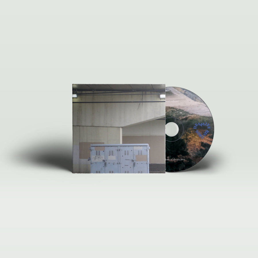 revelations of divine love (CD)