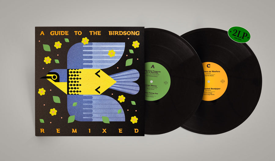 A Guide To The Birdsong Remixed 2xLP
