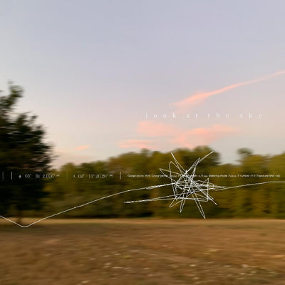 Look at the Sky 7" (Indie Exclusive Cover Art)