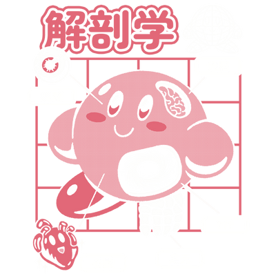 Cute Anatomy