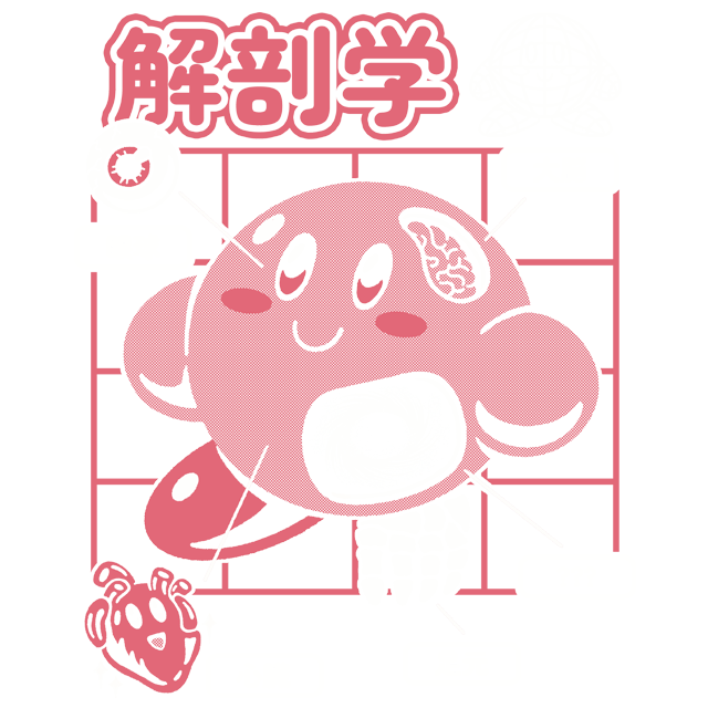Cute Anatomy