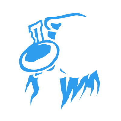 ShyGhost