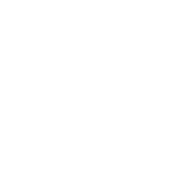 Dark Mage Rider Halloween