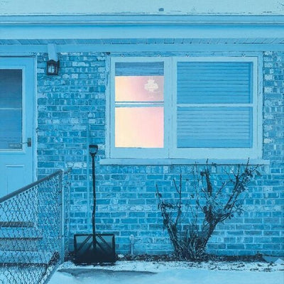 The Window (2LP Pink & Blue Vinyl)