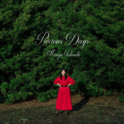 Precious Days [2LP Import]