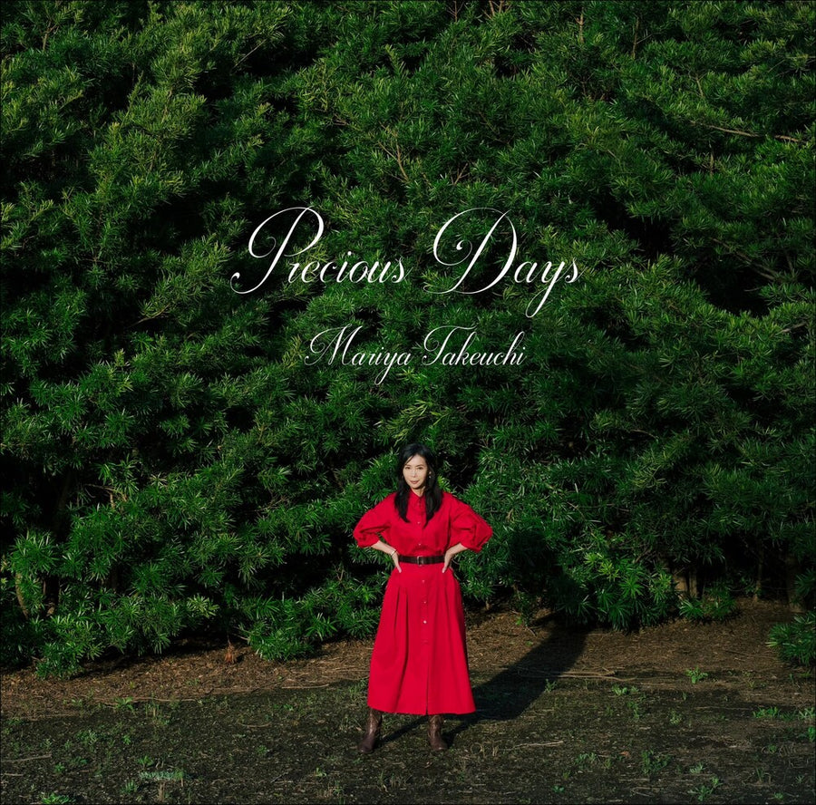 Precious Days [2LP Import]