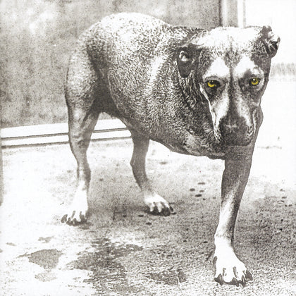 Alice in Chains: 30th Anniversary (Indie Exclusive Vinyl)