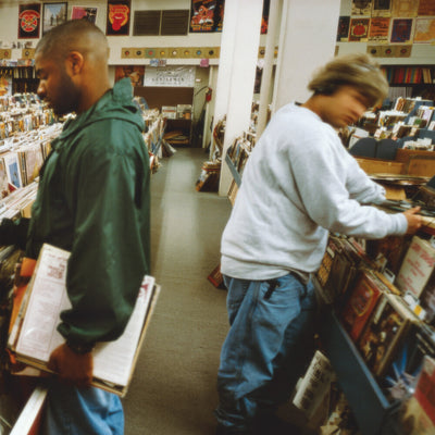 Endtroducing..... (30th Anniversary Edition 2xLP)