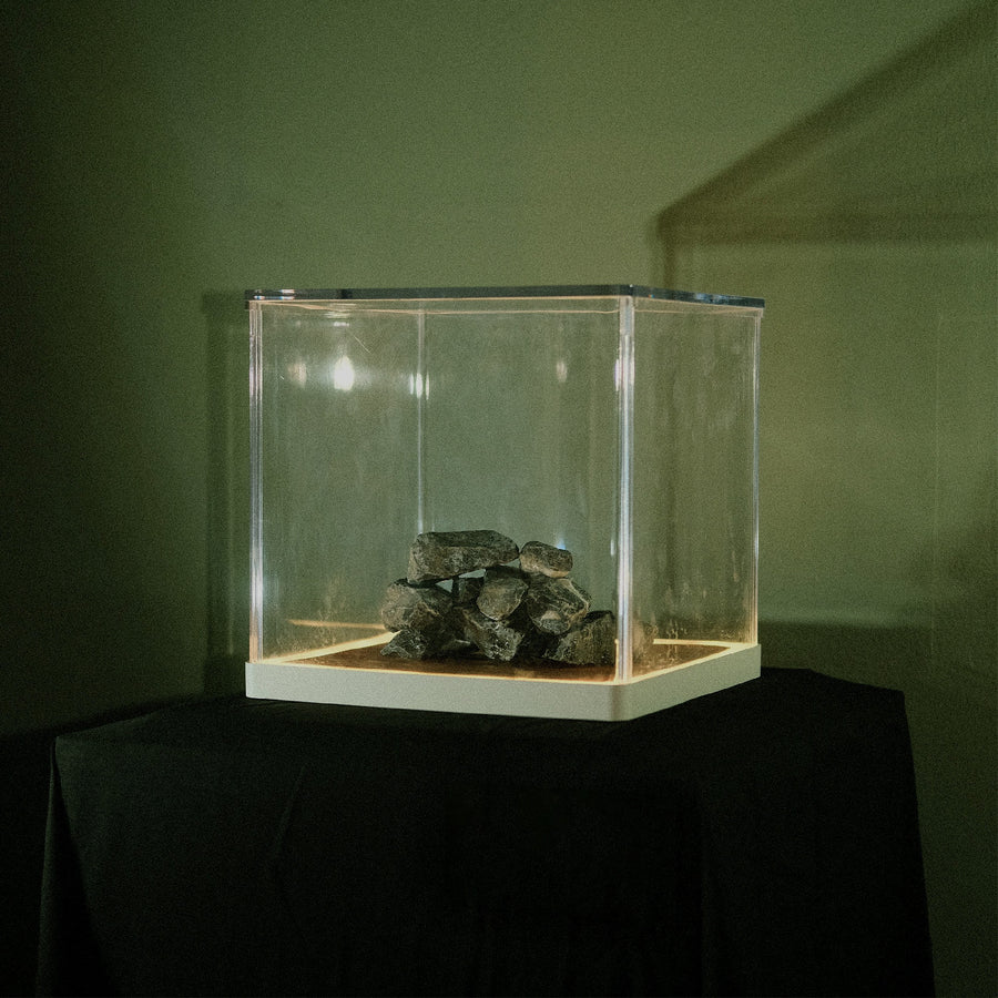 Cloch's Claí (Indie Exclusive Vinyl)