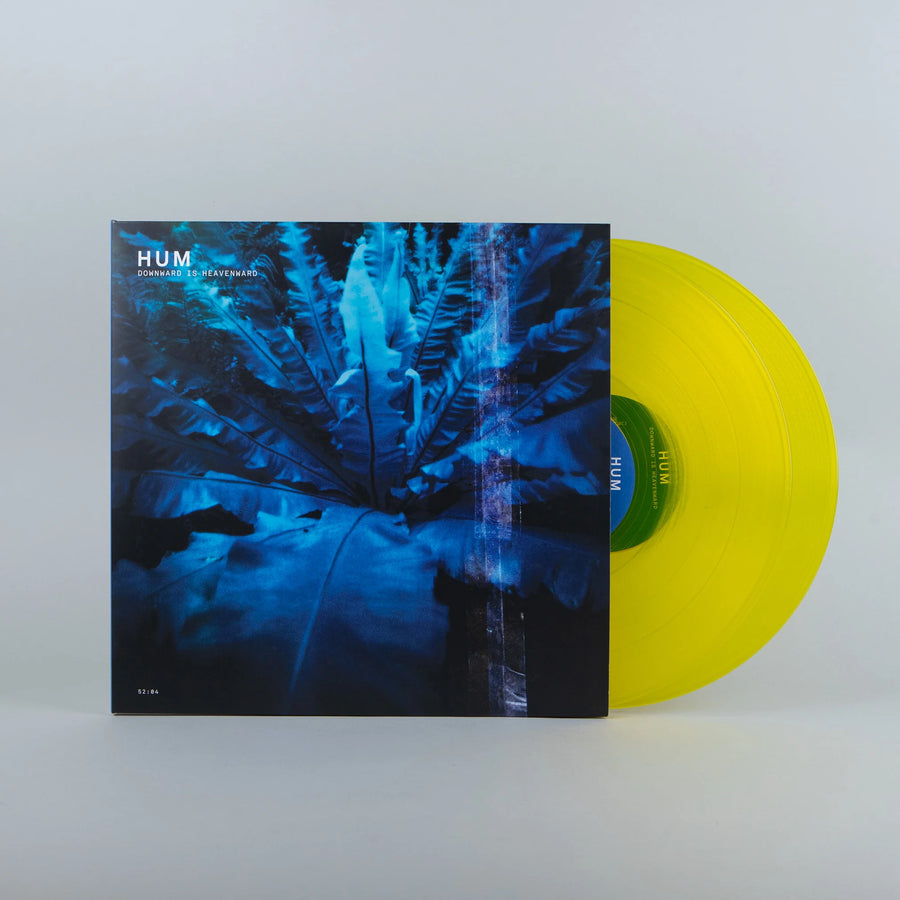 Downward Is Heavenward 2xLP