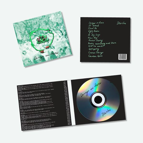 Danger In Fives CD
