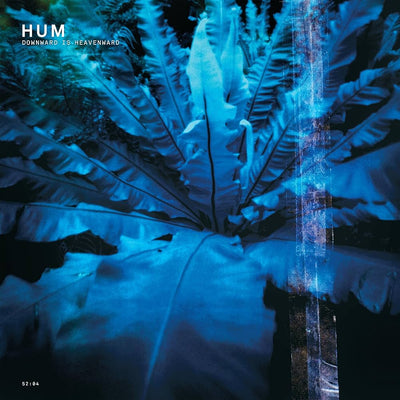 Downward Is Heavenward CD