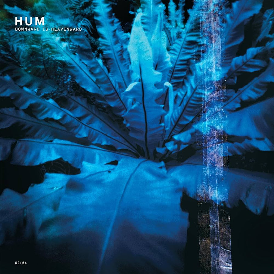 Downward Is Heavenward CD