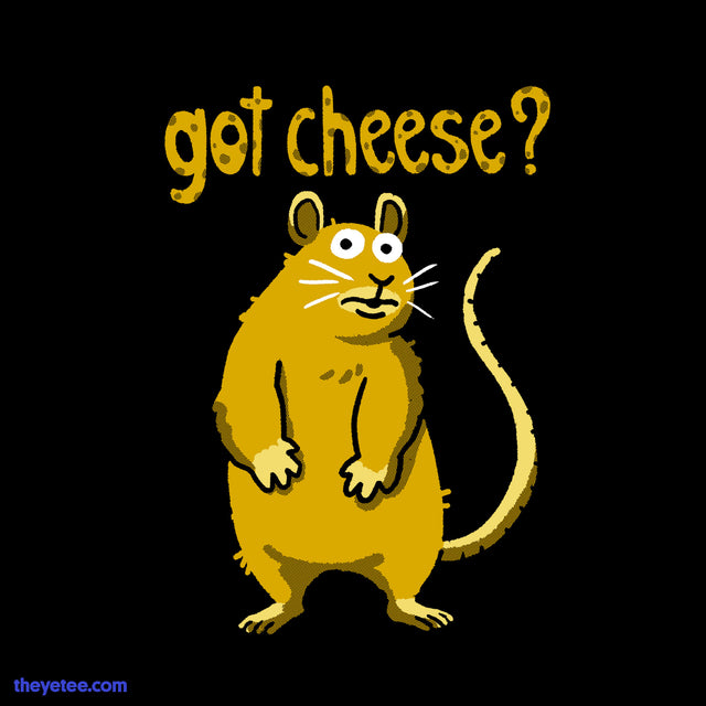 got cheese? - got cheese?