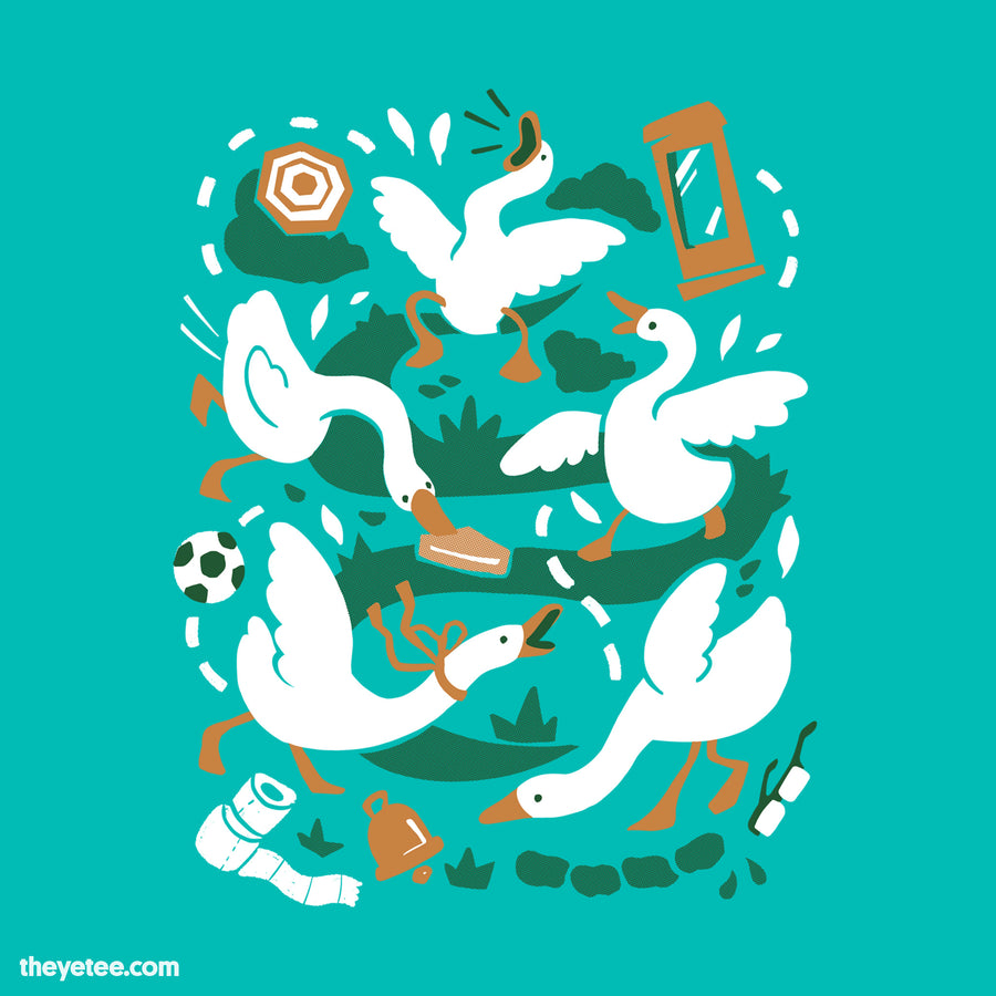 The Goose is Loose