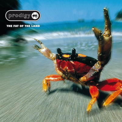 The Fat of the Land (CD)