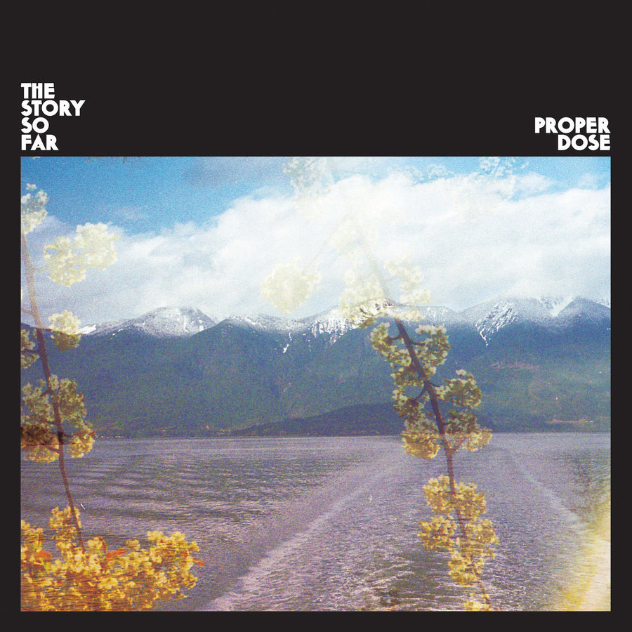 Proper Dose Cassette