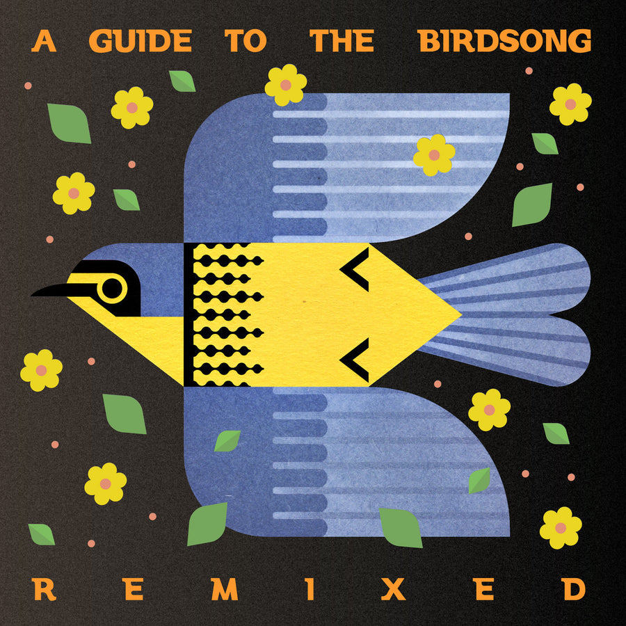 A Guide To The Birdsong Remixed 2xLP