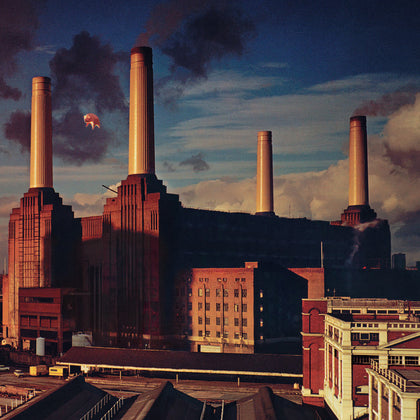 Animals (2016 Remaster)