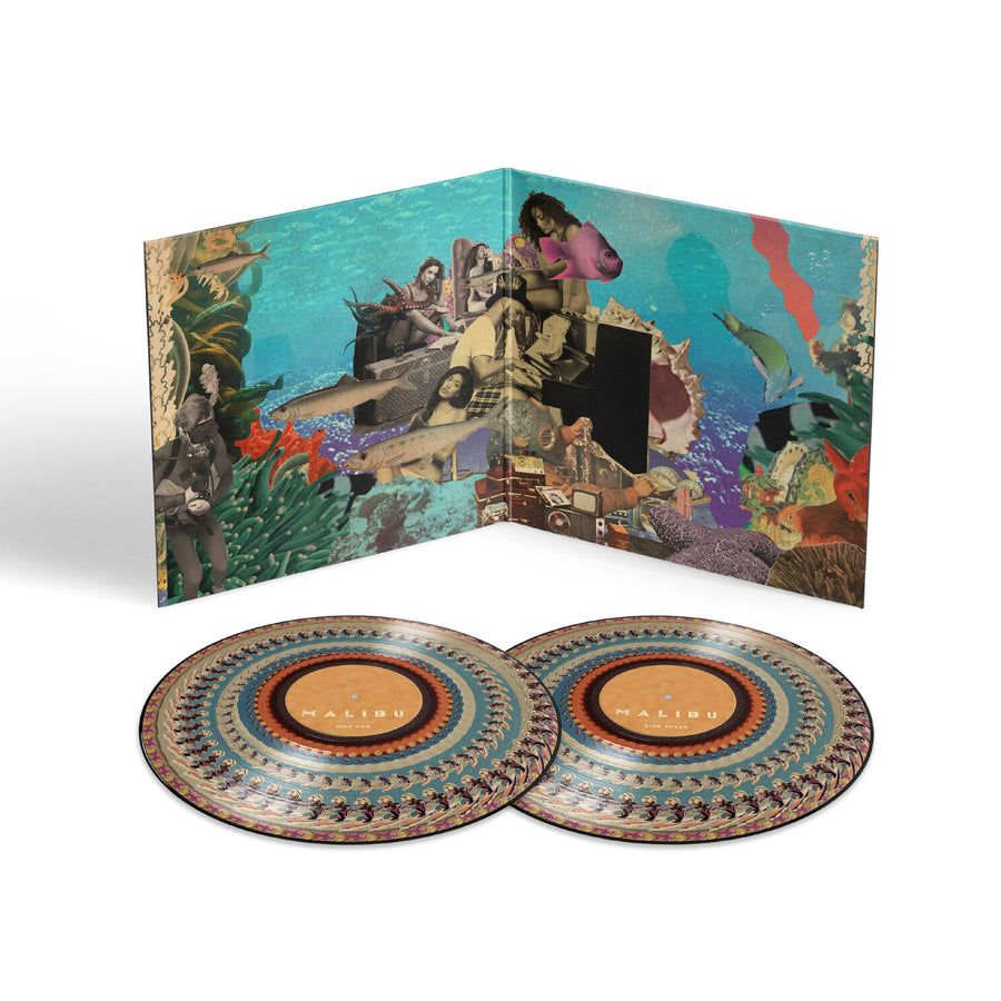 Malibu (10 Year Anniversary) (Zoetrope Picture Disc)