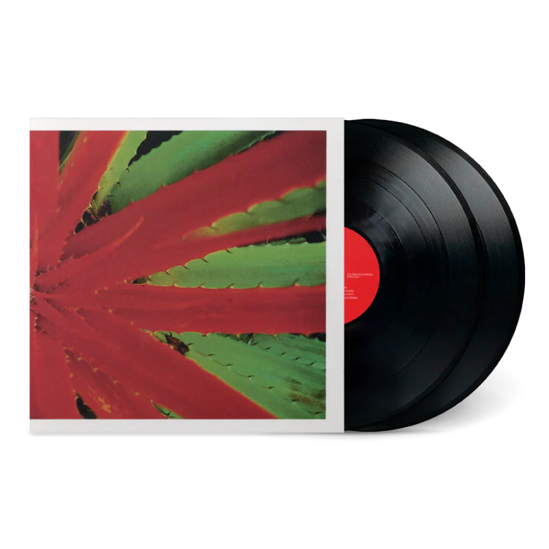 This Afternoons Malady 2LP