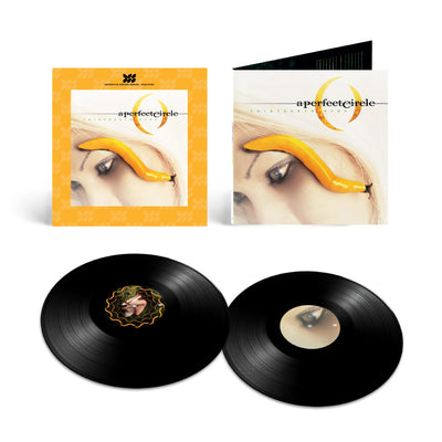 Thirteenth Step (Definitive Sound Series 2xLP)