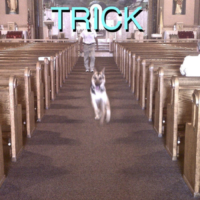 Trick (Deluxe Edition)