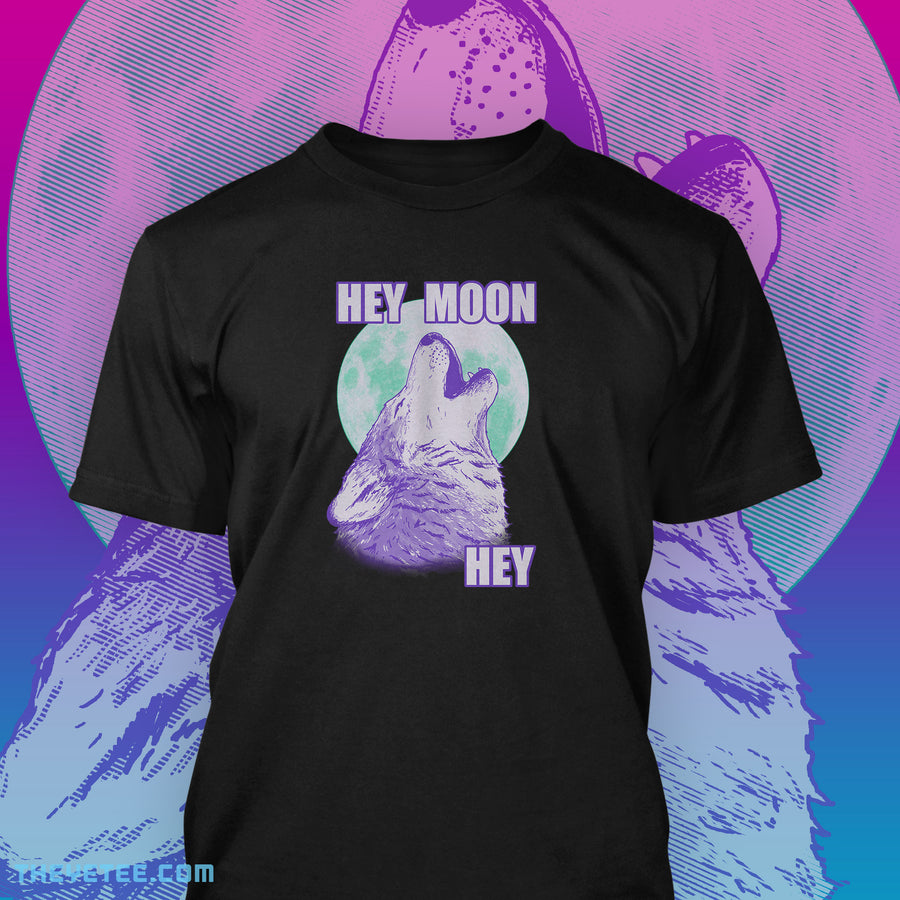 Hey Moon Hey