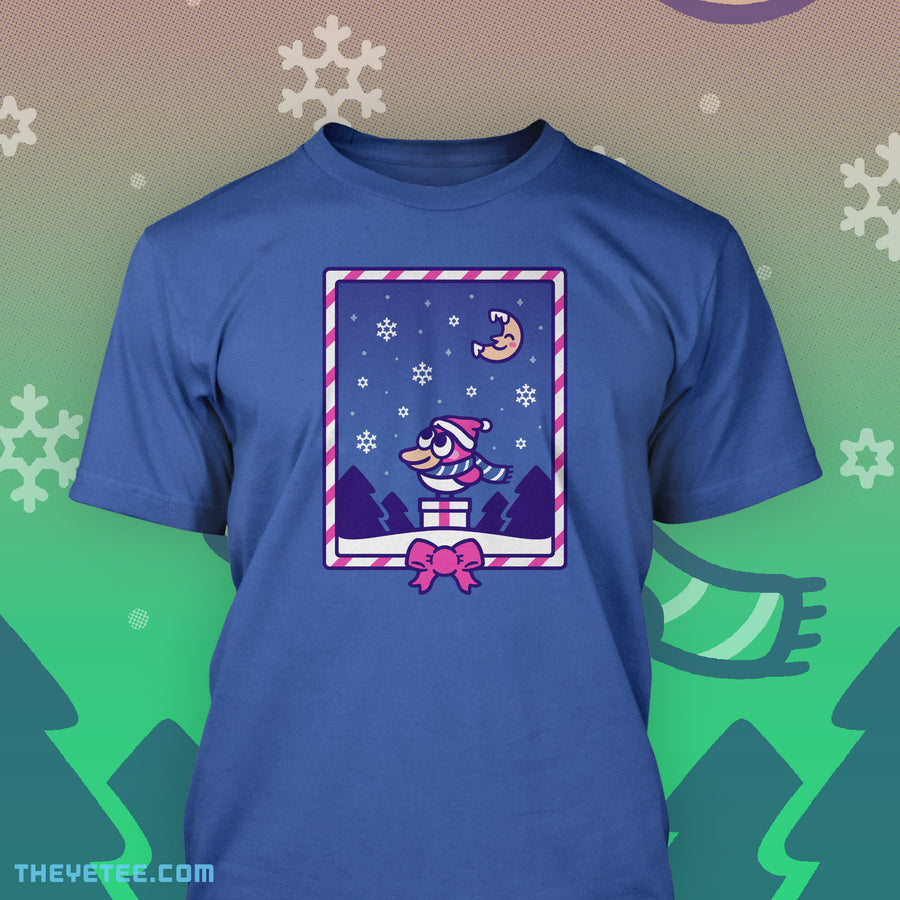 Snowflake Catching